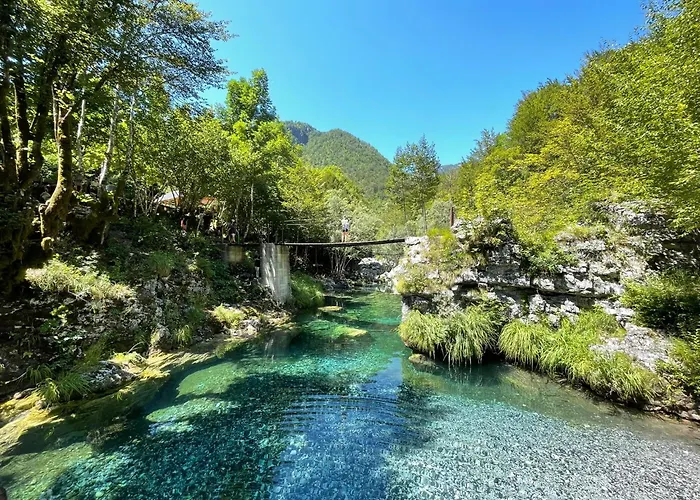Familja Cuni